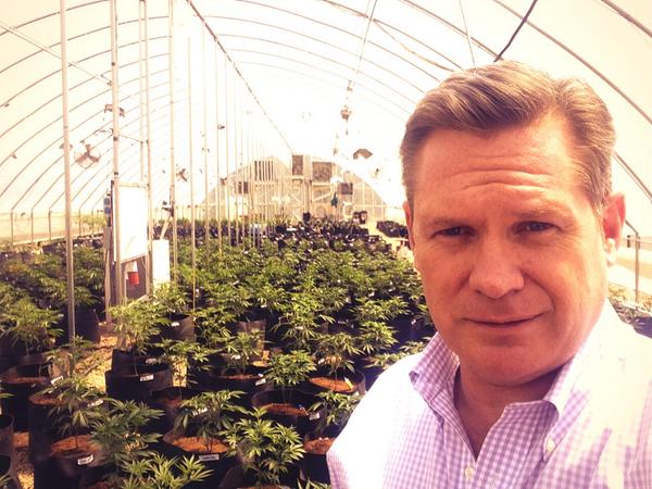 michaelusher's tweet photo. A Marijuana crop that's legal and saving lives. Cannabis for kids and our medical Marijuana challenge @60Mins #60mins http://t.co/n9H9kpMmeP