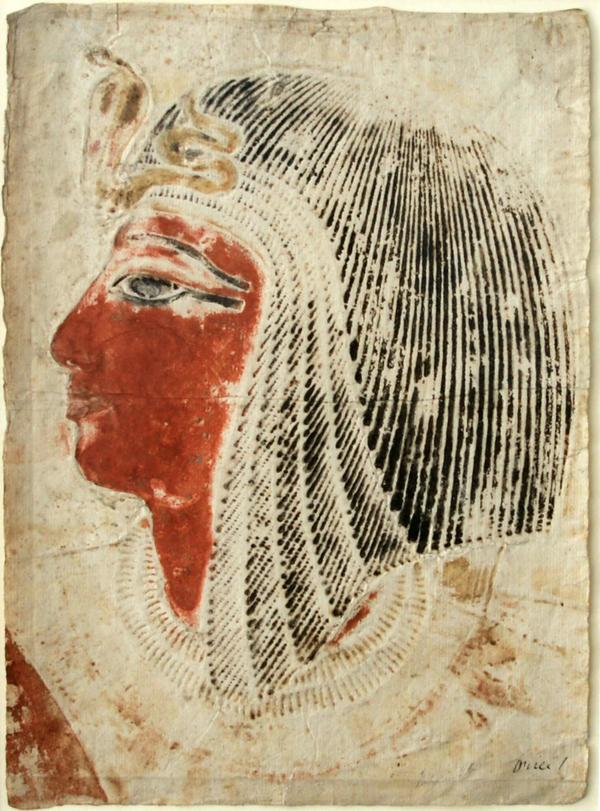#MacmArtFocus <a href="/MACMougins/">MACM</a> Wall rubbing of the head of Seti I, Giovanni Battista Belzoni 1817-1820 AD. Museum basement