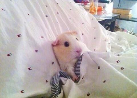 Eu com frio