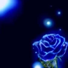 ammarhashim8's tweet photo. لاتجعل نفسك للغير مقلد بل ارسم لنفسك لوحة تكون فخرا لك وقدوة لغيرك http://t.co/cqqfkL76NN