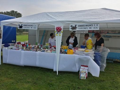 Podenco-Treffen beim HTC Melle