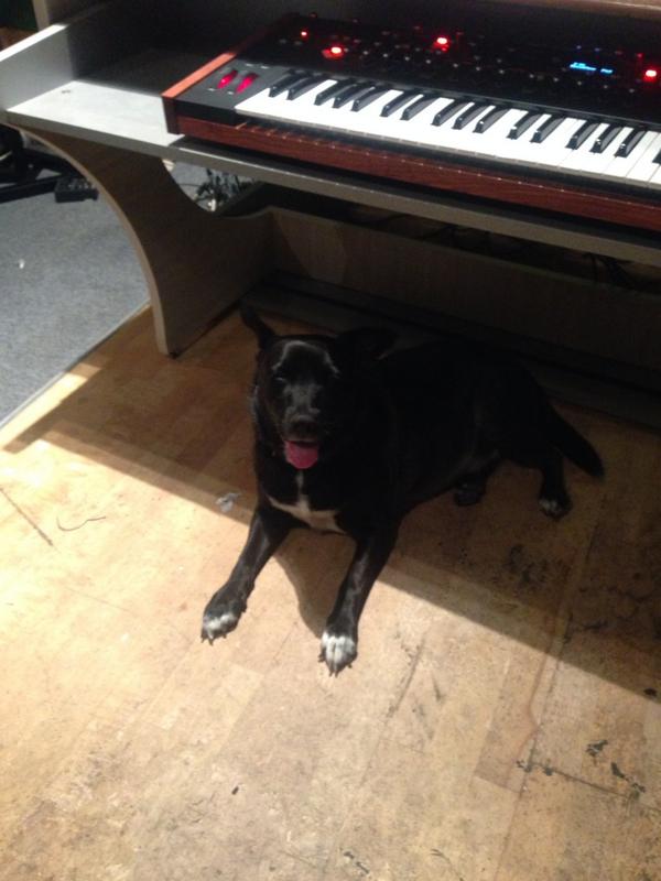 VaultsBarney's tweet photo. Happy Studio Pig http://t.co/x92Ep7njJ4