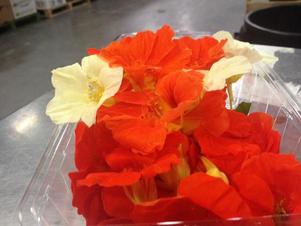 Just in from our pals <a href="/Scotherbs/">Scotherbs</a> ... Giving that dish a touch of class