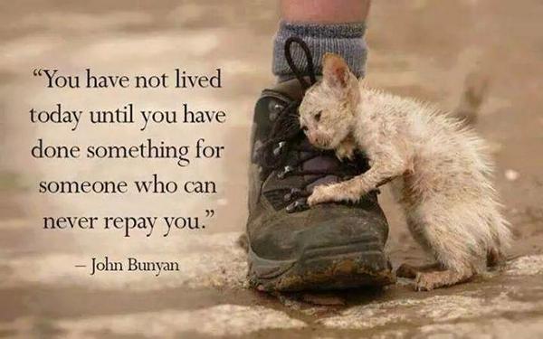 Protect_Wldlife's tweet photo. Thought Provoking. http://t.co/BQHRceAp2M
