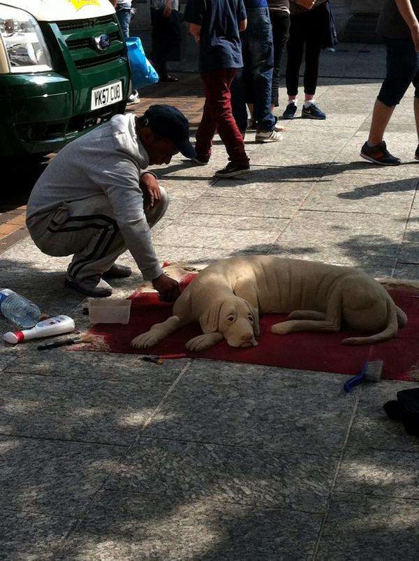 Man sculpting an amazing dog out of sand at Nottingham beach. <a href="/Nottwords/">Nottwords</a> @nottslibraries @creativenotts <a href="/MyNottingham/">🏹 My Nottingham</a>