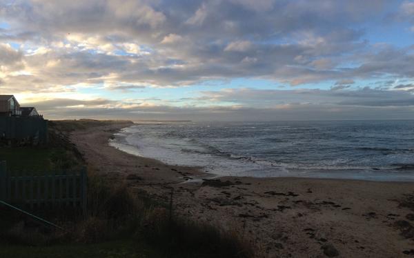 CeeCee 🐻💜 tweet media