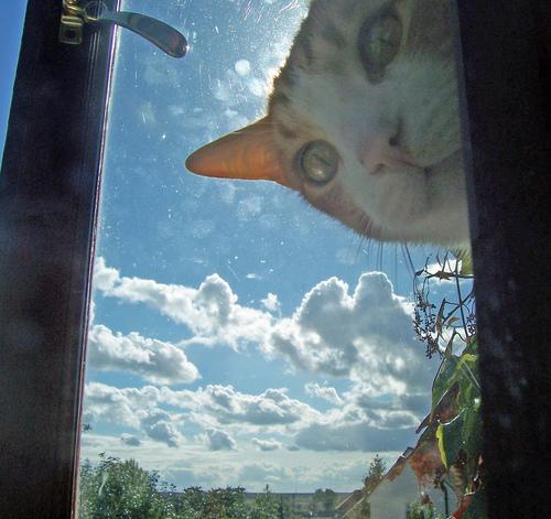 오미자th리 tweet media