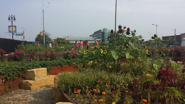 BritQL's tweet photo. Urban farming with Keep Growing Detroit #qlinterns http://t.co/x8c8djmj4Q