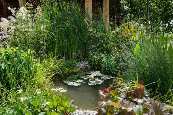 BBCGWLive's tweet photo. #FocusOnColour The different shades of green surrounding the pond creates a very natural and organic feel. http://t.co/XQIMvO419b