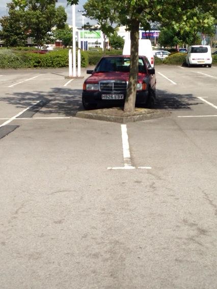 Phil Dunphy tweet media