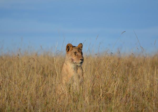 Healthy Planet tweet media