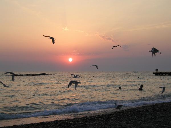 EcoDomOrg tweet picture
