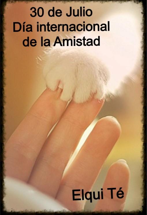 ElquiTeLtda tweet picture