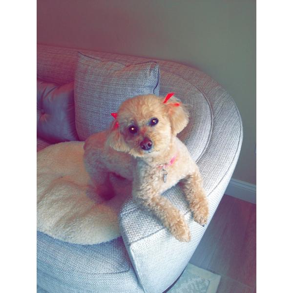 Scott Freeman tweet media