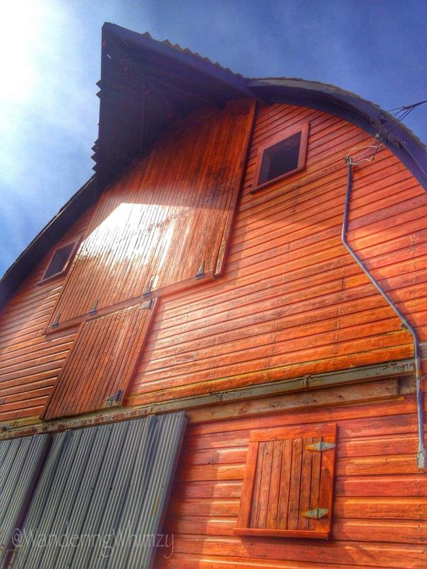 A lotta love and time was put into reconditioning this barn near Rouleau #Saskatchewan <a href="/DogRiverDays/">Dog River Days</a> <a href="/Country100FM/">Country 100.7 FM</a>