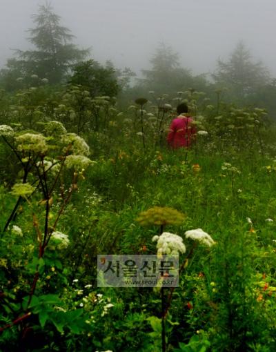 늦여름 독차지…늦은 휴가 준비하는 당신, 강원도 평창이 답이다 seoul.co.kr/news/newsView.… 아직 휴가를 가지 못하신 분, 늦은 휴가지로 괜찮을 듯 하네요.