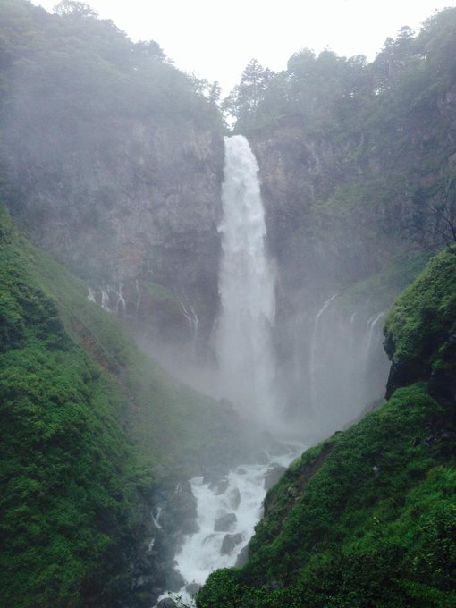 華厳のtwitterイラスト検索結果 古い順