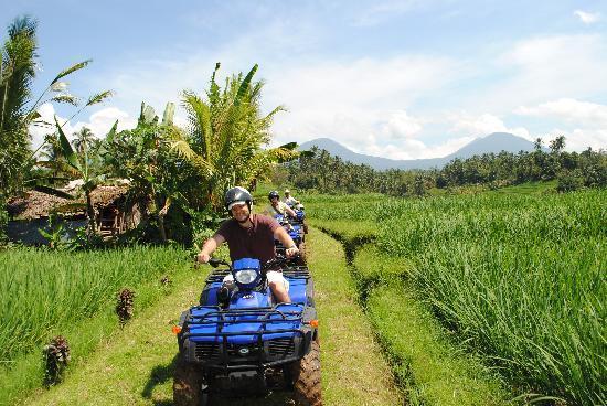 LesToitsDeBali's tweet photo. Envie de sensations fortes ? Venez organiser votre journée de Quad dans les rizières ! #LTDB
http://t.co/G01kSHQPtX http://t.co/zhq6JQeLsU