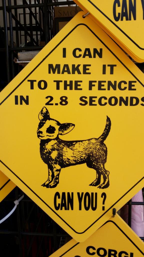 Mia_lovesjesus's tweet image. Here you go @CAZWELLnyc .... I know you understand.... #elvis #myginger