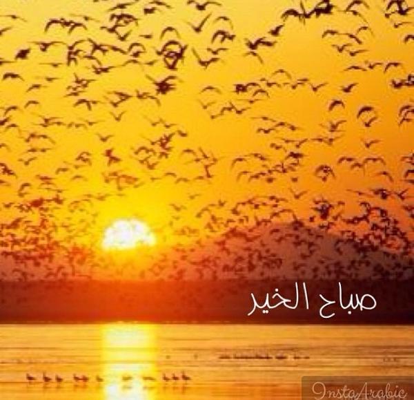 wwwasmaa97's tweet photo. "@jamol_q: http://t.co/tGyTdbrsxf"
