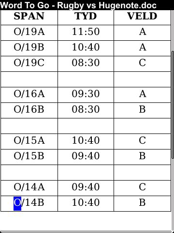 Tye teen hugenote HS tuis