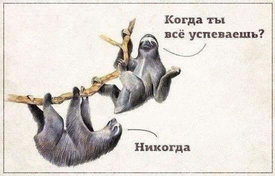 Сидела женщина скучала прикол. Как успевать все на работе и в жизни. Бинго года. Девочка маша запланировала на выходные ничего. Innubis иллюстрации.