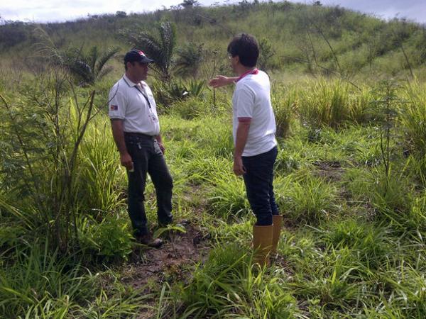 @1millondarboles@MLambiente  Evaluación plantación cerro tucarena Tachira Conare deppa Tachira mision arbol