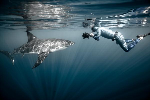 Fred Buyle tweet media