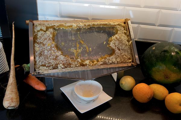 RecCaroline's tweet image. RT @JBartelsman: En alleen hierom doe ik zo honing in mijn thee...@DoubleTreeAMSCS  @Marceldeleeuw