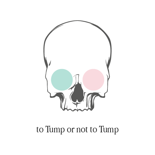 RabenBlog's tweet image. RT @PunkZebrasSoft To Tump or not to #tump that is the question @Gamer_RTweets #indiedev #unity3d #indiegame #gamedev