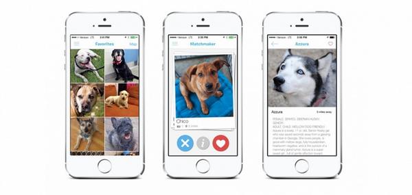 creapills's tweet image. Un détournement de Tinder pour favoriser l'adoption de chiens abandonnés - bit.ly/Y0aSBm