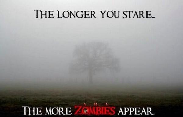 HorrorPhoto's tweet photo. http://t.co/hR9U1bdVIo