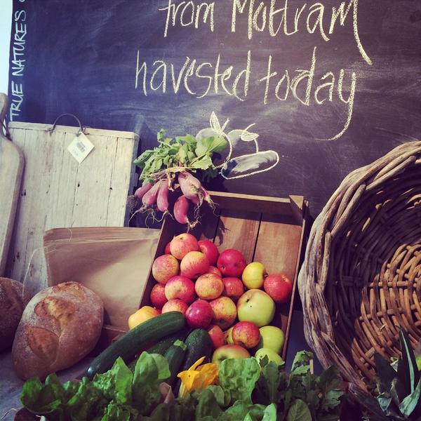 yard_lifestyle's tweet photo. #lovelocal #freshveg #straightfromtheground #harvest #grownwithlove #organicmethods #mothernature #cheshire http://t.co/4HxmW1Fmv0