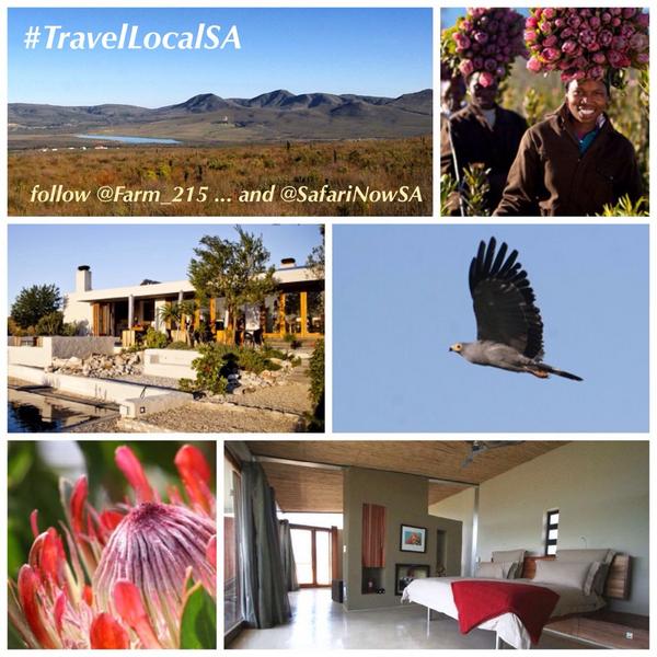 #TravelLocalSA GIVEAWAY10:
<a href="/Farm_215/">Farm 215</a> via <a href="/SafariNowSA/">SafariNow</a>

Actual Value: R2000! | to Enter Draw:
FOLLOW Both, RT or REPLY