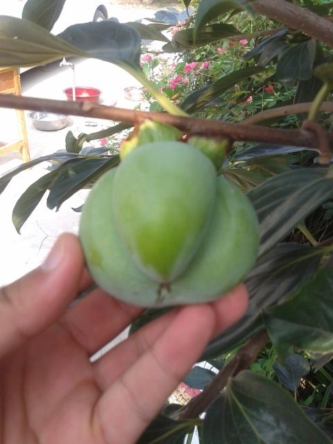 USelected's tweet image. guess this