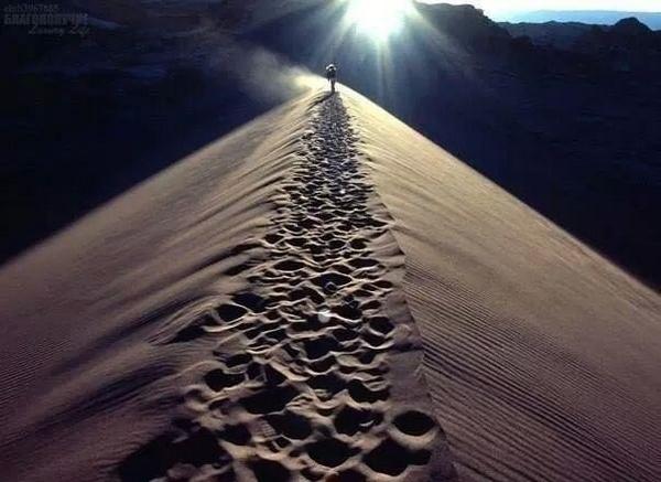 My life..   
My choices..    
My mistakes..      
My lessons..                        
Not your business ...