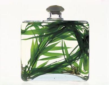 AlertMedicalorg's tweet image. Is Tea Tree Oil Good for Acne? - alertmedical.org/is-tea-tree-oi…