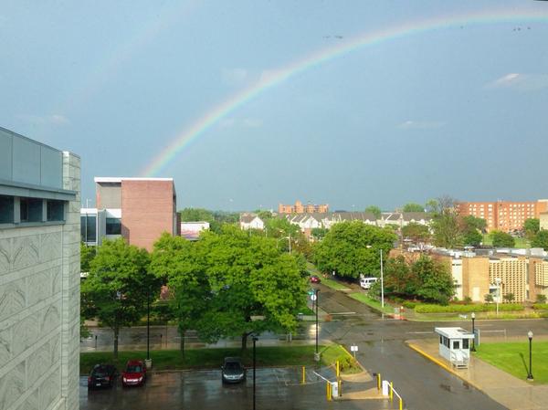 DIADetroit's tweet image. Spotted from the DIA offices earlier this afternoon. Here's hoping for sunny weather soon! #Detroit