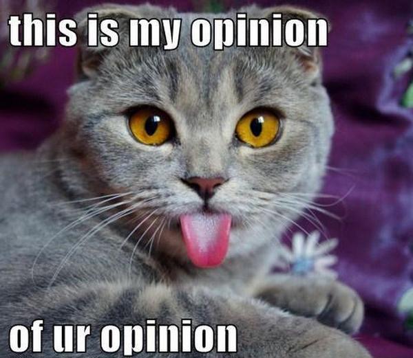 To all them haters in the world