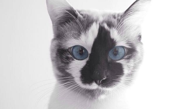 Elverojaguar's tweet photo. http://t.co/QwpQtTKkJC