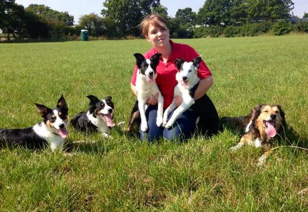 300 likes 👍 Thank you very much to everyone for your continual support at @CRTBarton's Mayfields Farm in Norfolk! 🐑