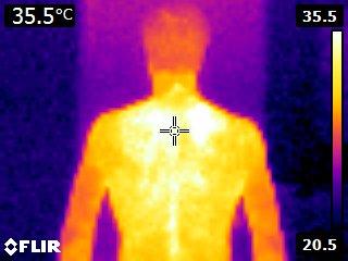 Voorbereidend werk vr nieuwe #coolshirt: waar koel je effectiefst tijdens inspanning?  Dank @HeraklesHockey1 #Rio2016