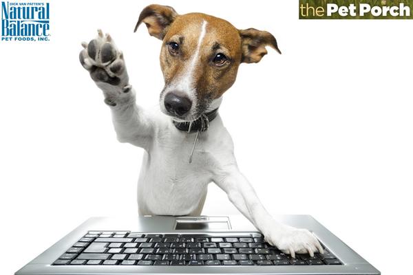 NaturalBalance's tweet photo. Join an exclusive online community of pet lovers who are excited to share opinions with us: http://t.co/CRRwgRb5w1 http://t.co/XGxRLXssyY