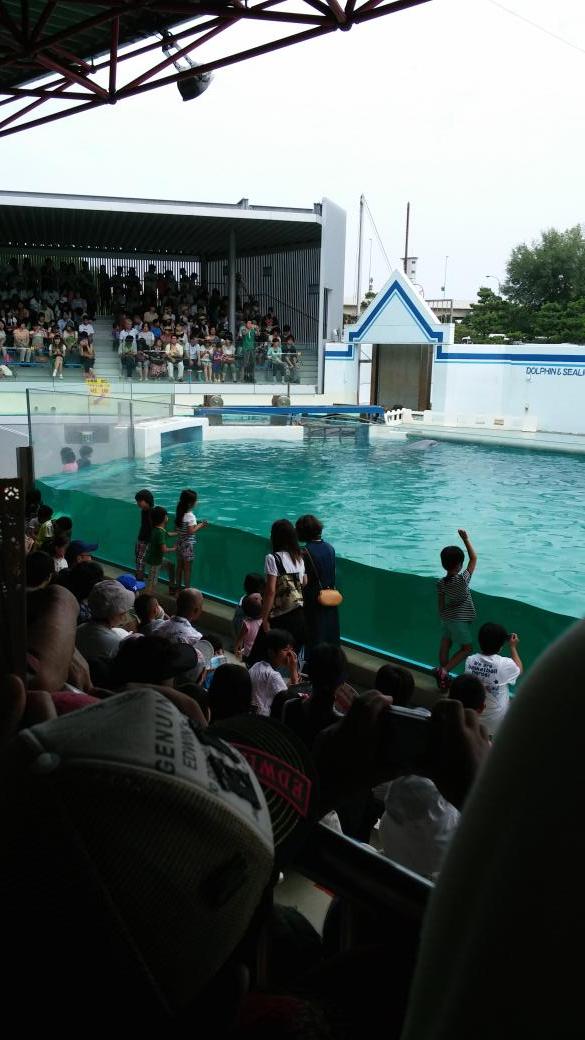 品川水族館 しな水 の混雑状況やイルカショー 駐車場の混み具合 混雑状況 待ち時間 割引情報を配信するブログ