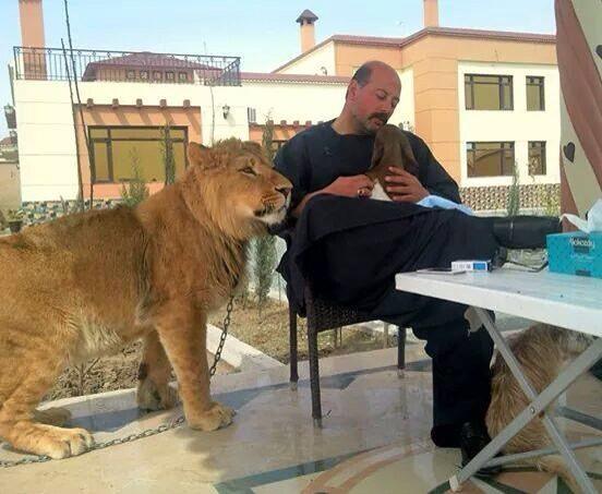A real man has a Loin as a Pet! #RIP Uncle Hasmat <a href="/aBeast87/">aB Ghacham</a> #trueLEADER #loinasPET