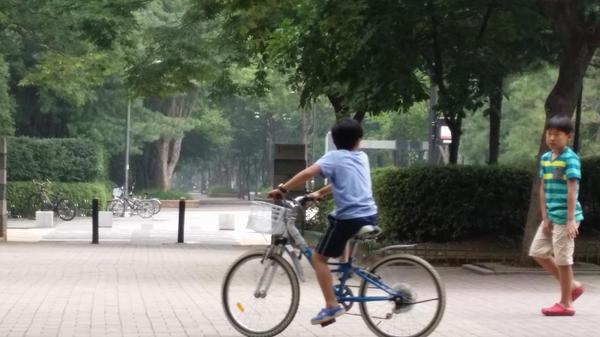 점심 후 쉬는 중