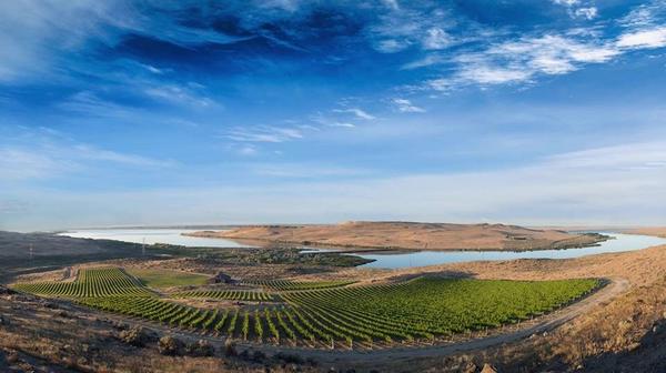 MercerEstates's tweet photo. A fantastic panoramic shot of Spice Cabinet Vineyard in the Horse Heaven Hills! #mercerestates #wawine #vineyard http://t.co/jQPFYmcPLp