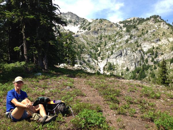 purifythyself's tweet image. Don’t miss our final days of the $199 sale.Remember our Cleanse 14 is also on sale for $125. ariseandshine.com.