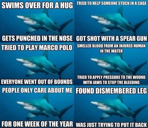 CloydRivers's tweet image. Sharks are just misunderstood. Merica.