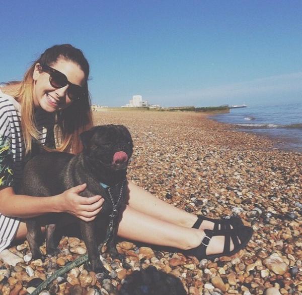 Zoe (@zocllafake) on Twitter photo 